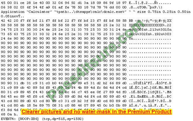 New 312-50V12 dumps exam questions 12